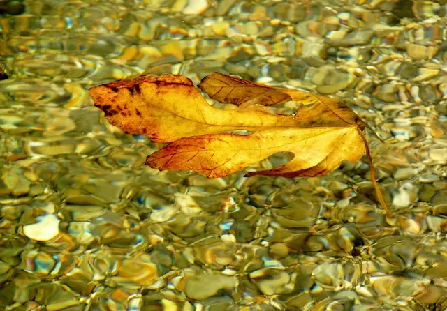 Quarry