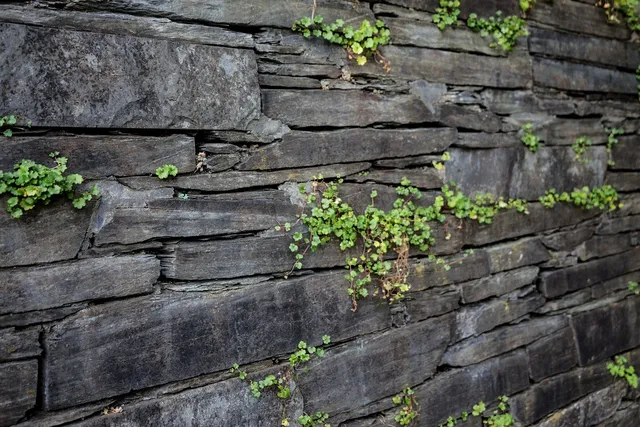Quarry
