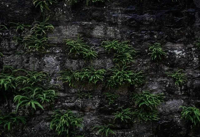 Quarry